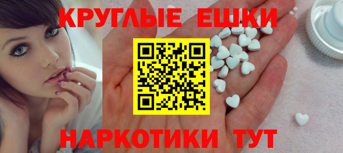 Михайловск  Экстази Philipp Plein  Вход с VPN 